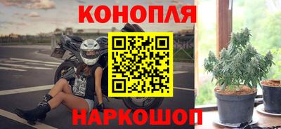 СК Можга