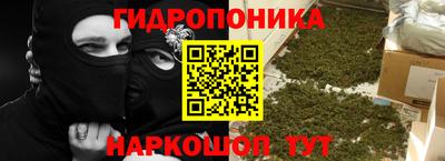 прущие крисы Моздок