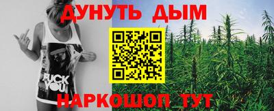 прущие крисы Моздок