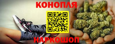 СК Можга