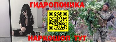 СК Можга