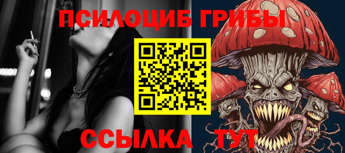 сколько стоит  Псилоцибиновые грибы Cubensis  Вход с VPN  Псилоцибиновые грибы Psilocybe  Фролово 